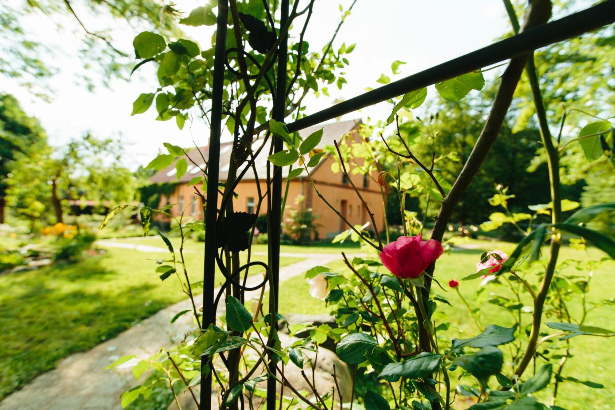 Feriendomizil Alter Garten Temmen-Ringenwalde Eksteriør billede