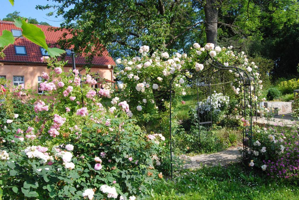 Feriendomizil Alter Garten Temmen-Ringenwalde Eksteriør billede