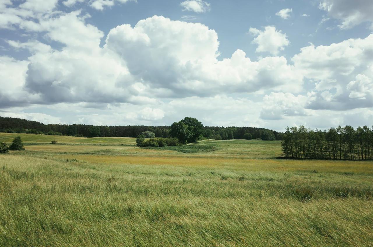 Feriendomizil Alter Garten Temmen-Ringenwalde Værelse billede
